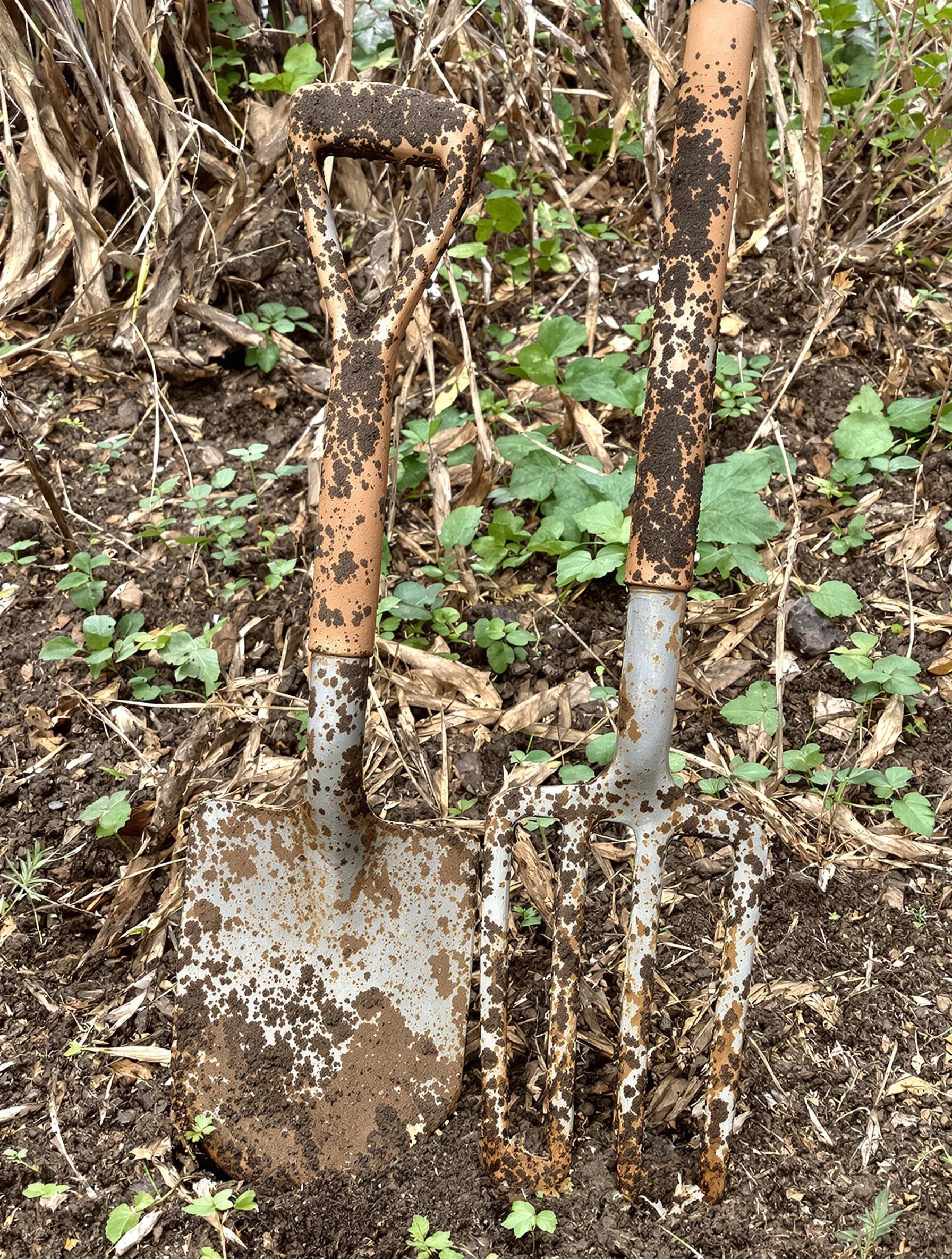 Bêche et fourche-bio usées dans un potager anarchique