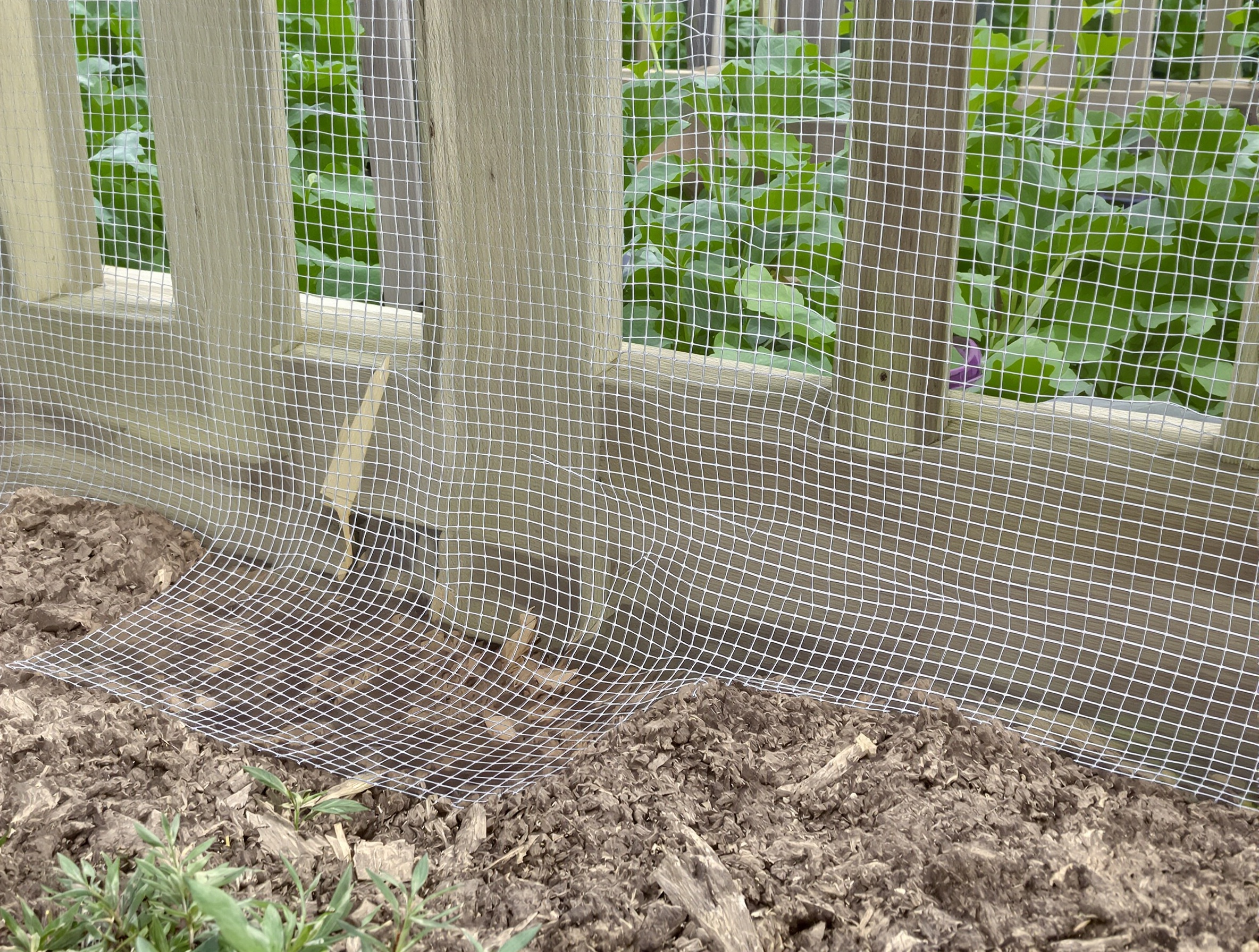 Clôture douce renforcée pour potager anti-blaireau