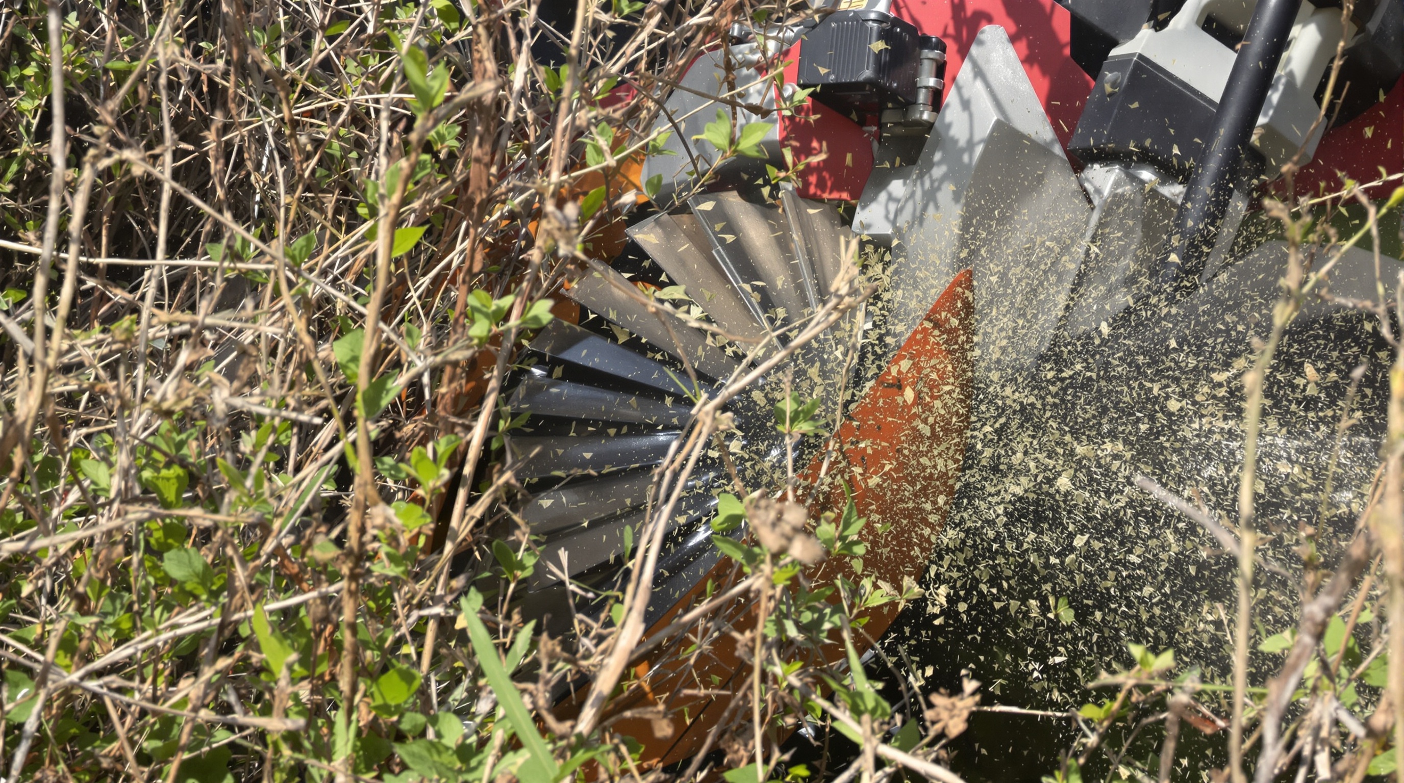 Tête à lames débroussailleuse en action sur ronces et hautes herbes.
