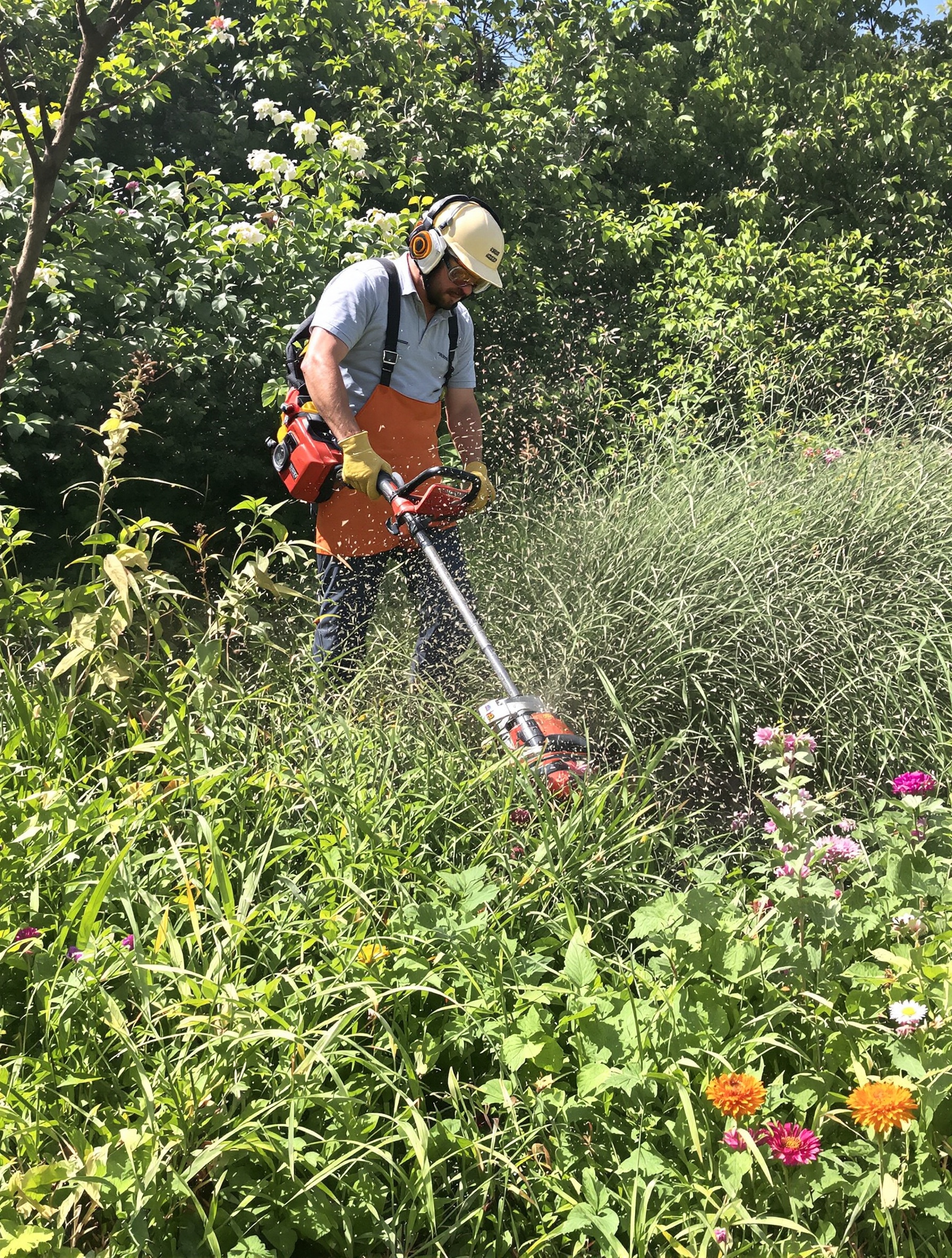 Jardinier amateur en pleine action avec une débroussailleuse thermique Sterwins sur des herbes hautes.