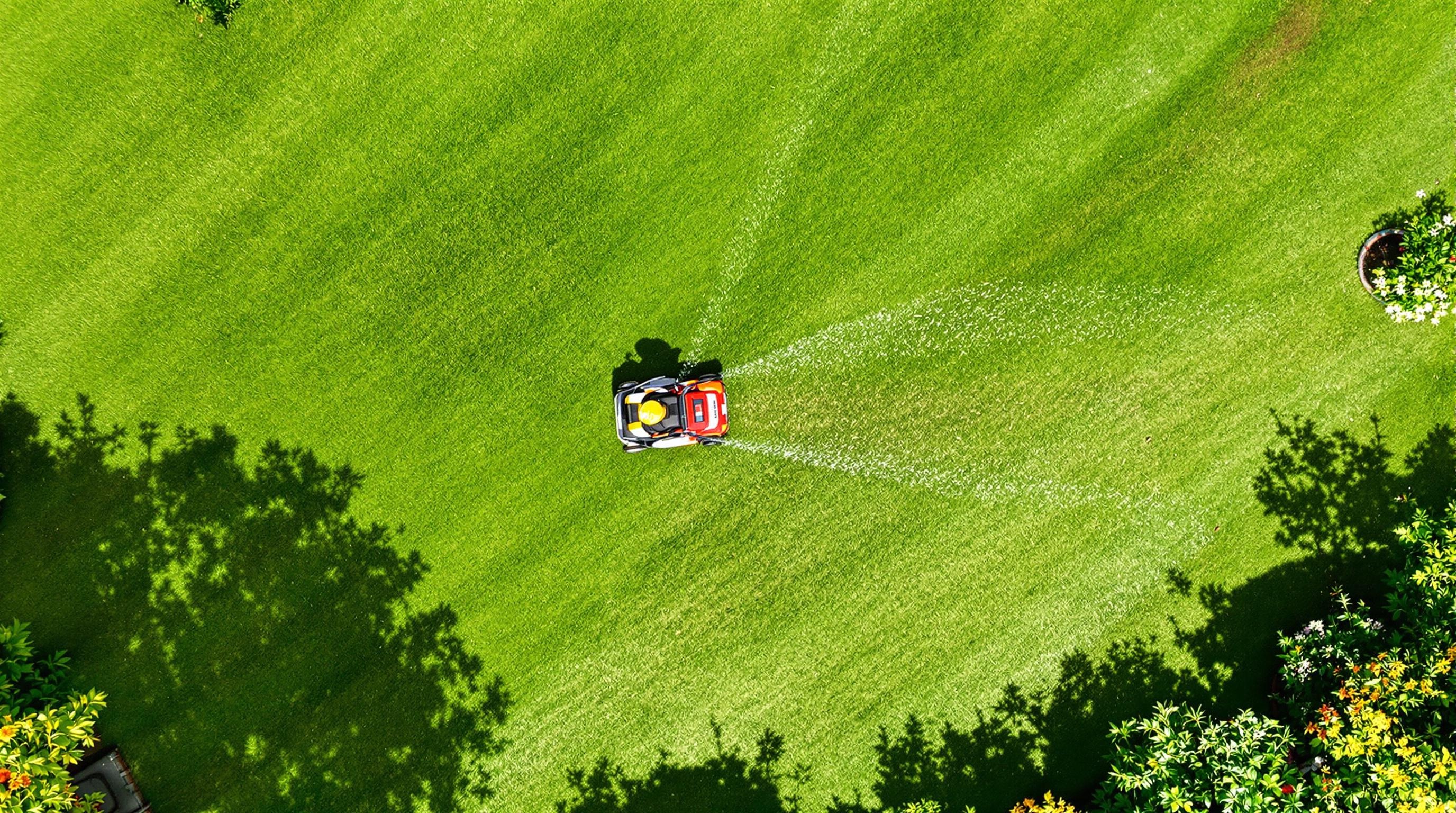 Plan d'un jardin à Saint-Louis avec autonomie des tondeuses