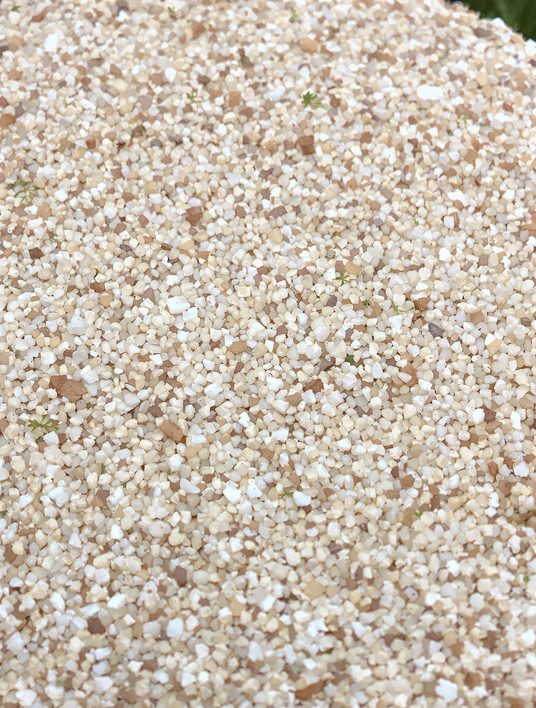 Exemple de sol calcaire typique où l'on peut trouver l'Hygrophore de Mars, montrant une texture granuleuse et une bonne aération.